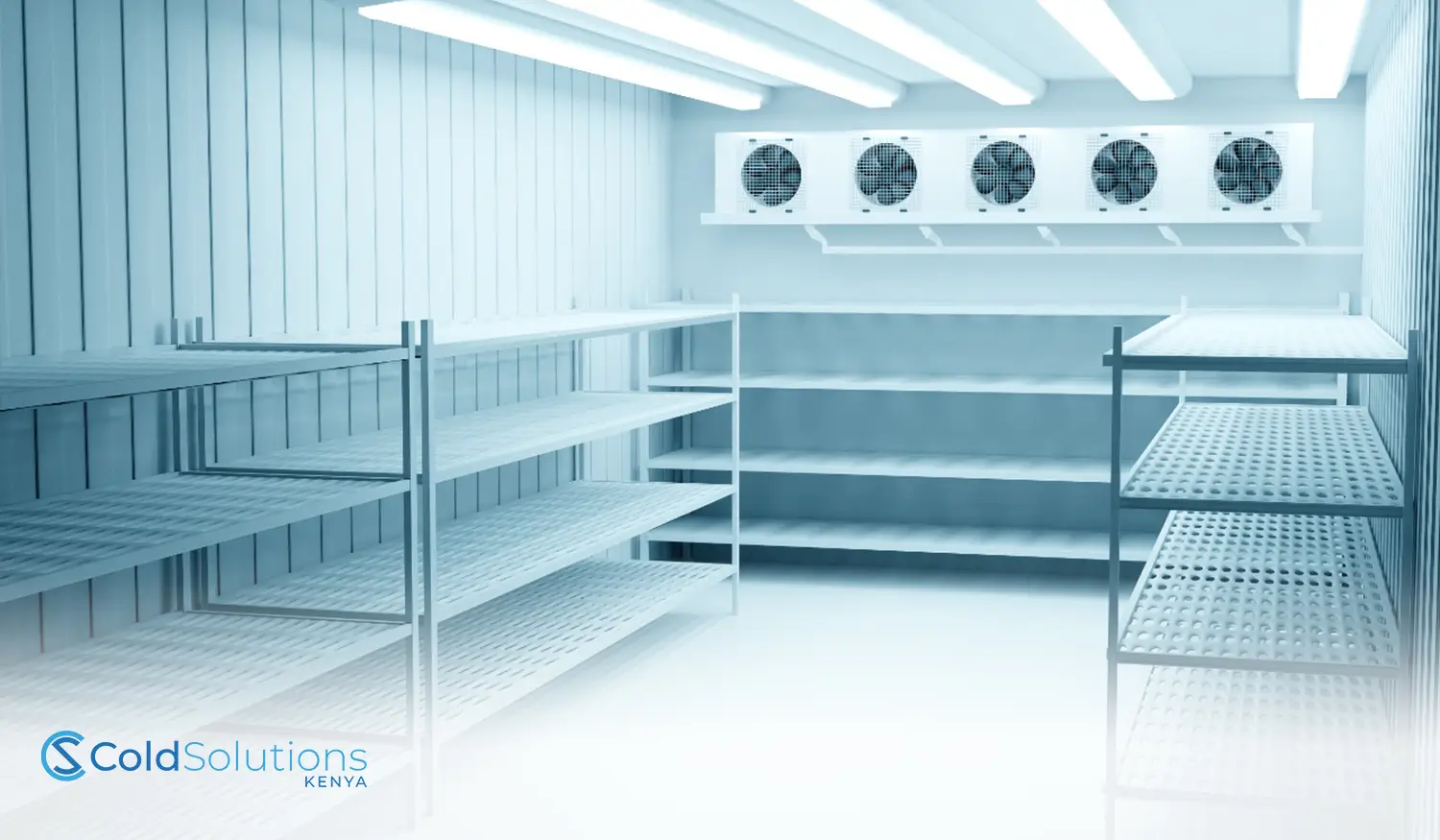 Beyond Refrigeration: The Environmental Benefits of Efficient Cold Chain Storage with Cold Solutions Kenya