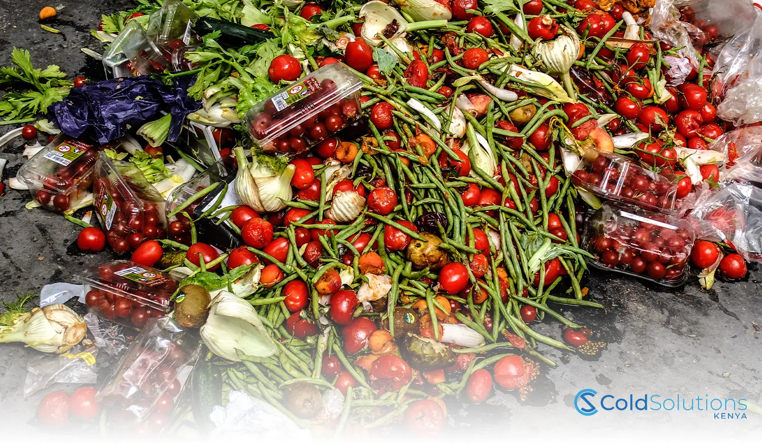 Lessons from Countries Leading the Fight Against Food Waste