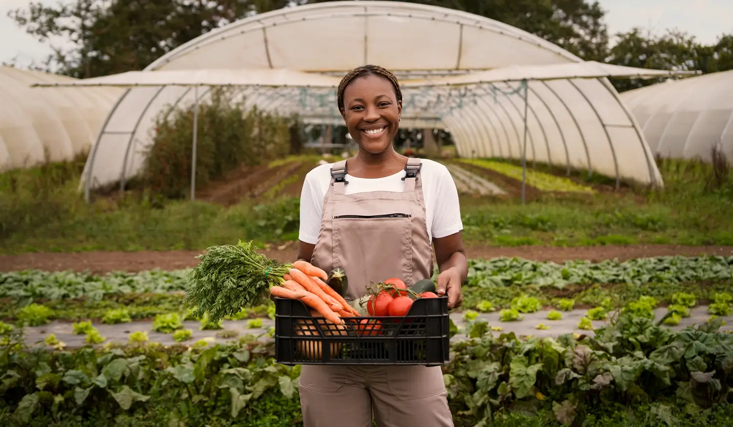 A Stronger Cold Chain for Kenya’s Smallholder Farmers Starts with Smarter Aggregation